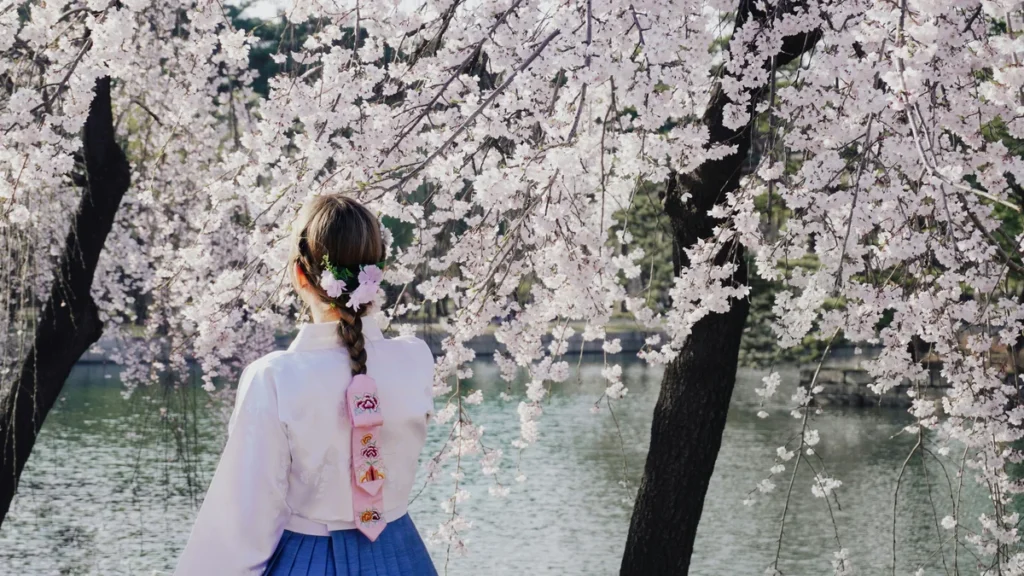 Muslim women traveler Seoul guide hero — a woman in traditional hanbok stands among cherry blossoms, representing Korean cultural heritage and modest fashion